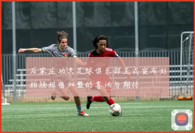 石家庄功夫足球俱乐部正式宣布刘柏杨租借加盟的喜讯与期待